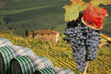 Vinprovning i Toscana, Italien