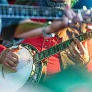festiwal bluegrass w rotterdamie
